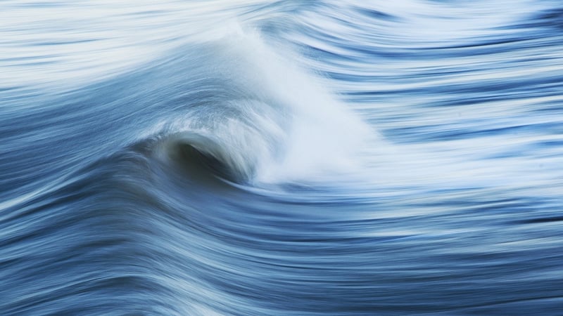 Fluid Movement Workshops